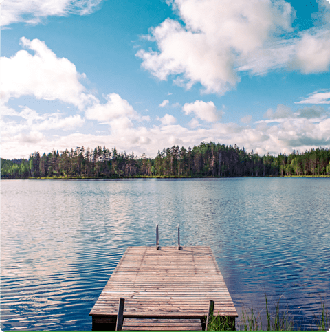 A dock on the water with trees in the background.